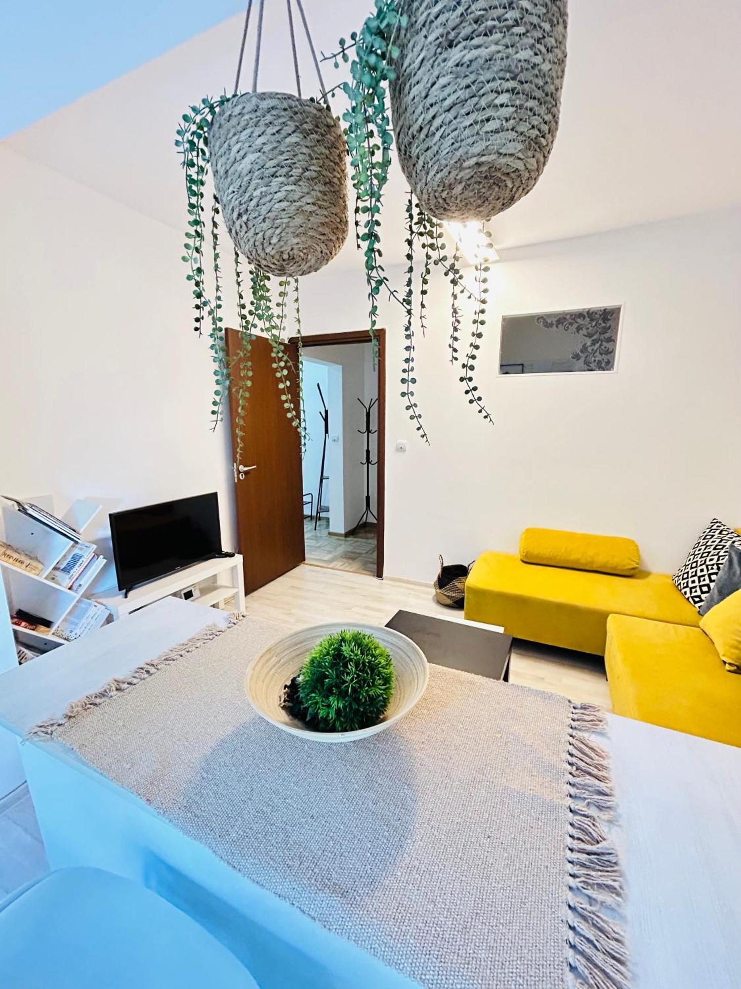 Alisz Apartments Timisoara Exterior photo